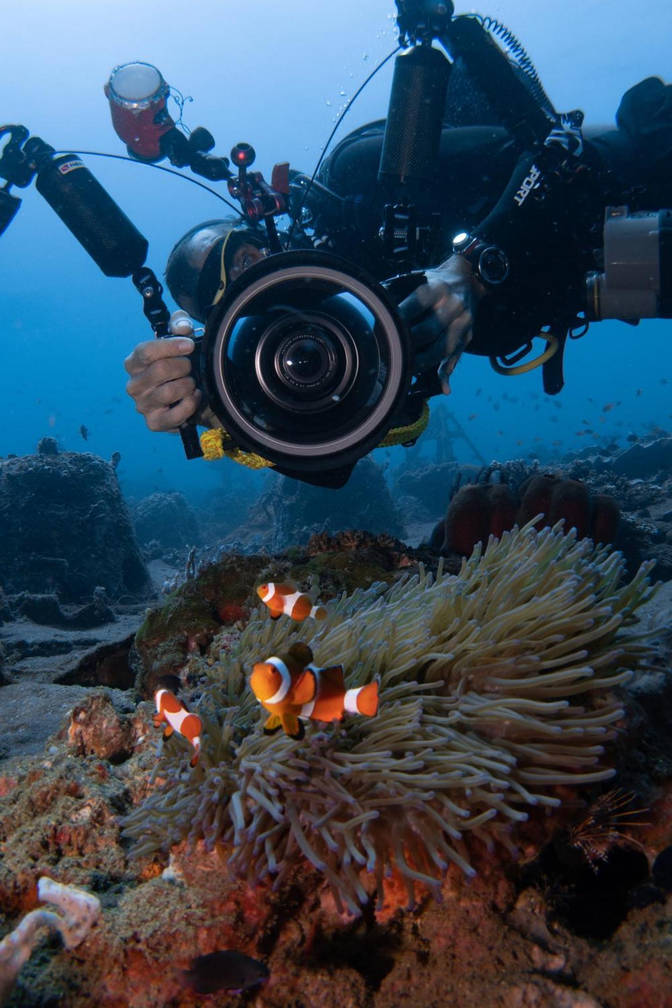 Vitaminsea Room Dauin Zewnętrze zdjęcie