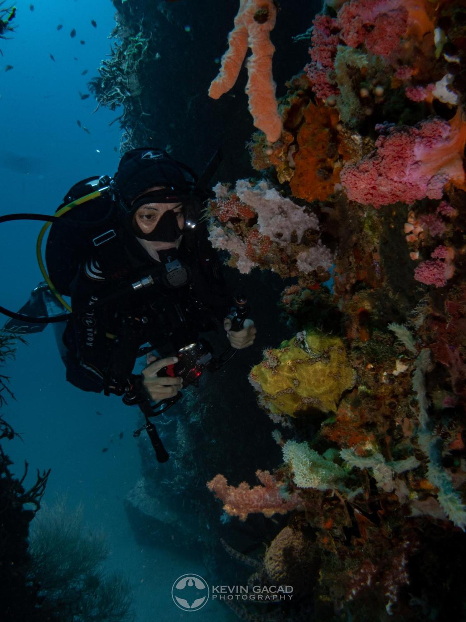 Vitaminsea Room Dauin Zewnętrze zdjęcie