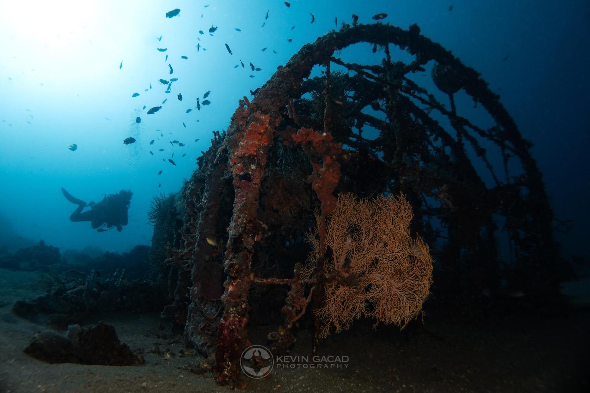 Vitaminsea Room Dauin Zewnętrze zdjęcie